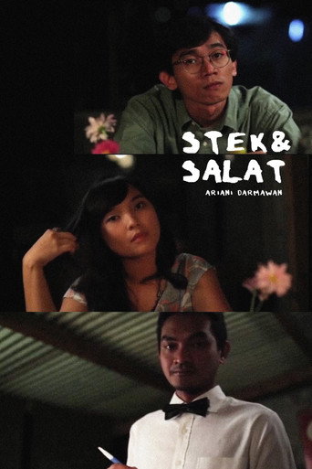 Movie poster for Stek & Salat (2011)