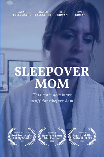 Movie poster for SLEEPOVER MOM
