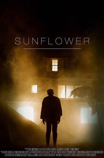 Movie poster for Sunflower (2016)
