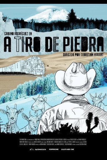 Movie poster for A Tiro de Piedra (2010)