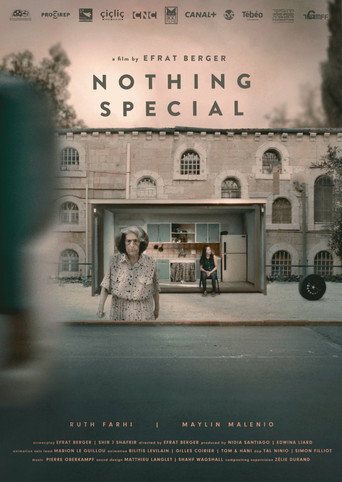 Movie poster for Nothing Special (2024)