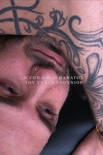 Movie poster for The Life and Death of Celso Junior (2011)