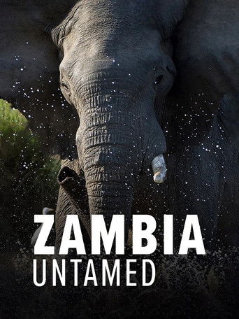 Zambia Untamed poster