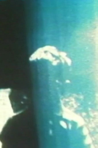 Movie poster for Fissures (1999)