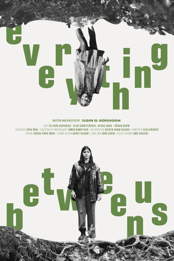 Everything Between Us poster