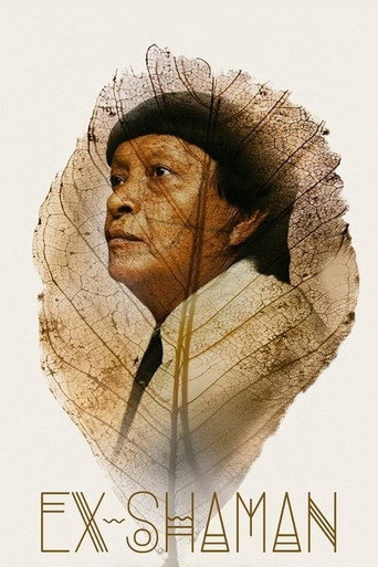 Movie poster for Ex-Shaman (2018)