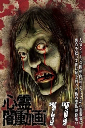 Movie poster for Psychic Darkness Video 11 (2016)