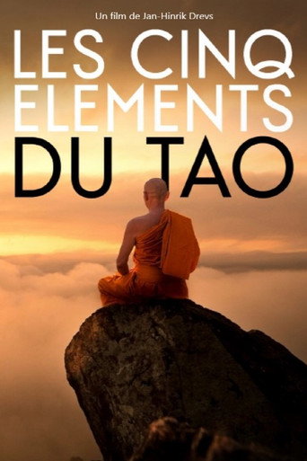 Movie poster for Balance of the Five Elements (2021)
