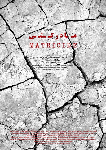 Movie poster for Matricide (2015)