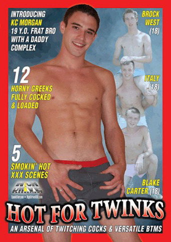 Movie poster for Hot for Twinks (2009)