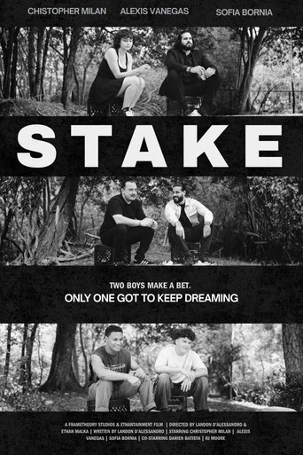 Movie poster for Stake