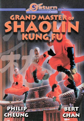 Movie poster for The Divine Martial Arts Of Dharma (1978)