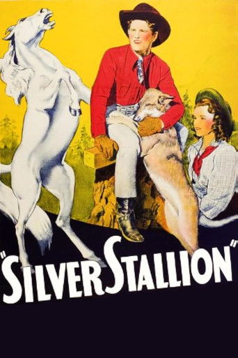 Silver Stallion poster