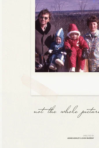 Movie poster for Not The Whole Picture