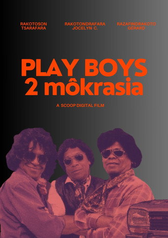 Movie poster for Play Boys 2 (2009)