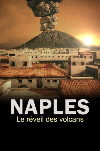Movie poster for The Next Pompeii? (2019)