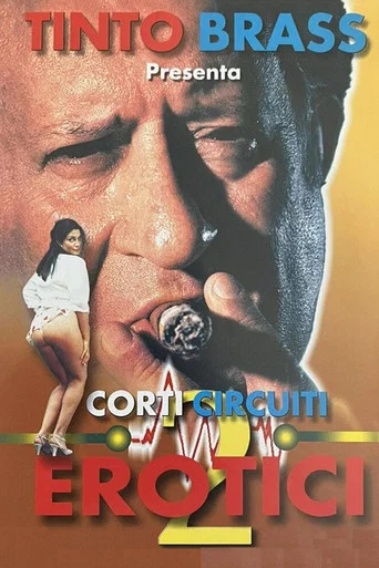 Movie poster for Erotic Short Circuits Vol.2 (1998)