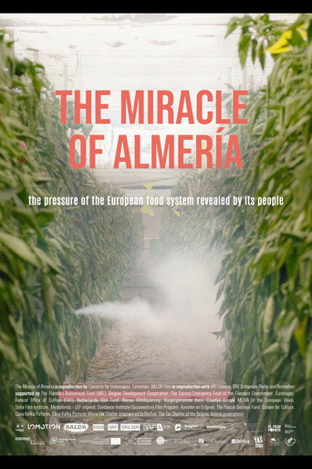 Movie poster for The Miracle of Almería