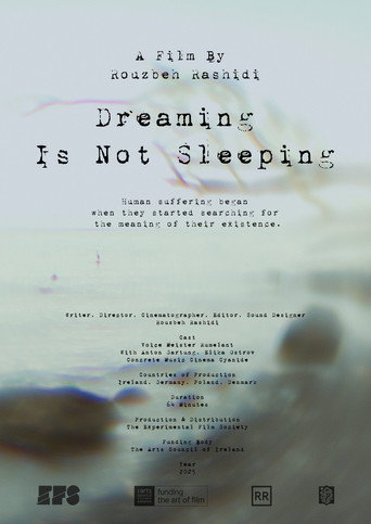 Movie poster for Dreaming Is Not Sleeping (2025)