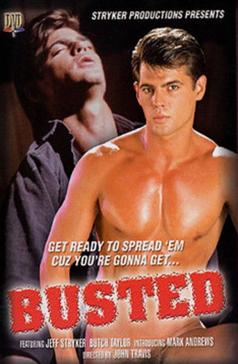 Busted poster