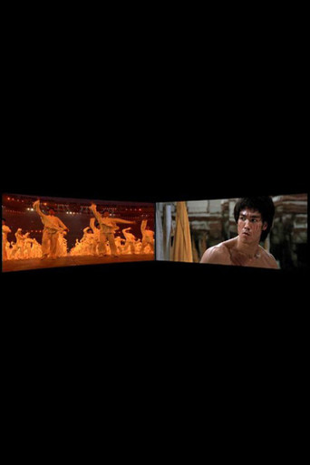Movie poster for Enter the Dragon 1973-2008 (2010)