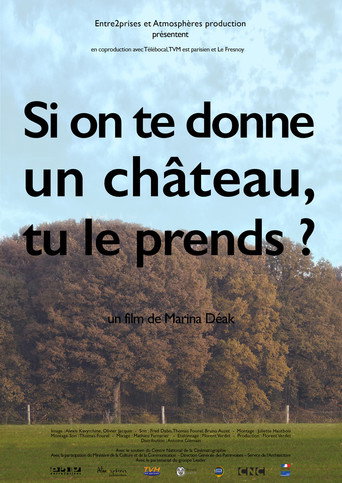 Movie poster for Si on te donne un château, tu le prends? (2016)