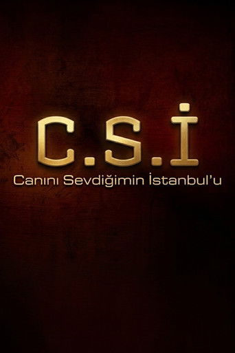 Canını Sevdiğimin İstanbul'u poster