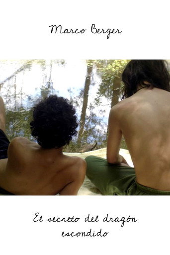 Movie poster for The secret of the hidden dragon (2009)