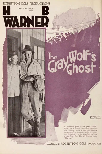 Movie poster for The Gray Wolf's Ghost (1919)