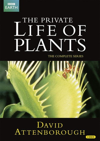 Movie poster for The Private Life of Plants (1995)