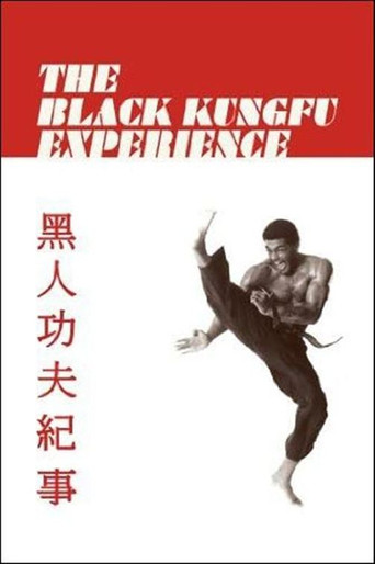 Movie poster for The Black Kung Fu Experience (2012)
