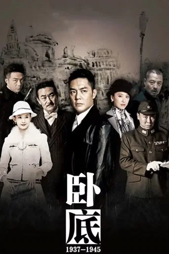 Series poster for 卧底 (2015)