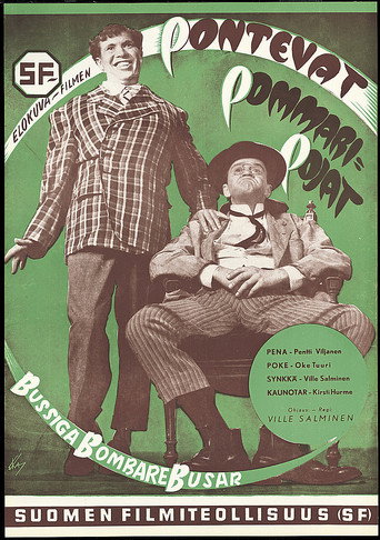 Pontevat pommaripojat poster
