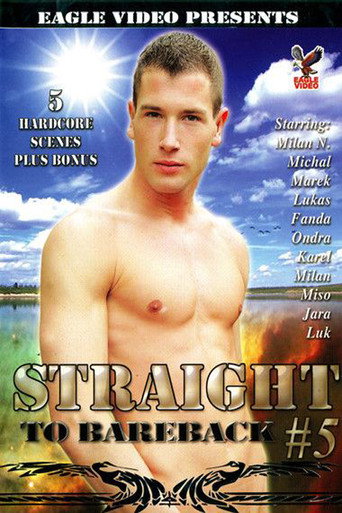Movie poster for Straight to Bareback 5 (2007)