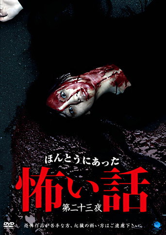 Movie poster for Scary True Stories: Night 23 (2012)