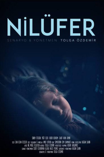 Movie poster for Nilüfer (2018)