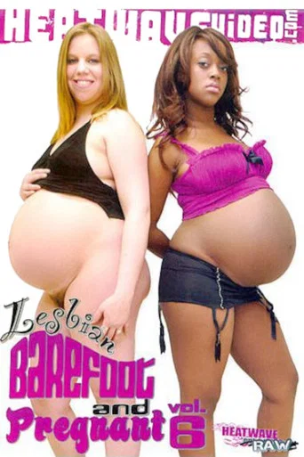 Movie poster for Lesbian Barefoot and Pregnant 6 (2011)
