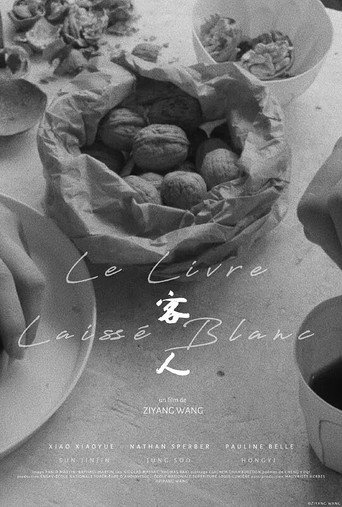 Movie poster for 客人