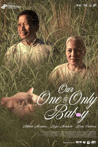 Movie poster for Our One and Only Bab(o)y (2025)