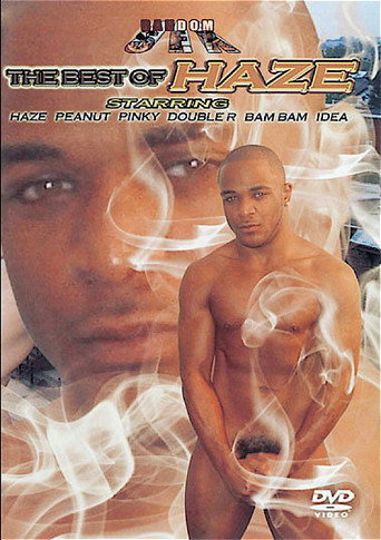 Movie poster for The Best of Haze (2008)