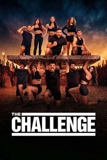 Series poster for The Challenge (1998)