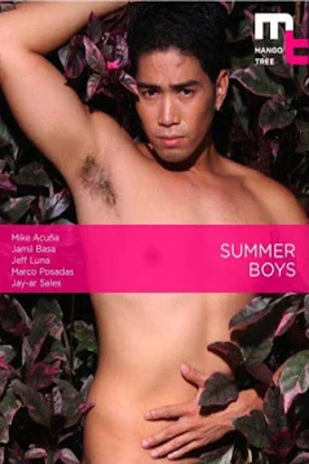 Movie poster for Summer Boys (2009)
