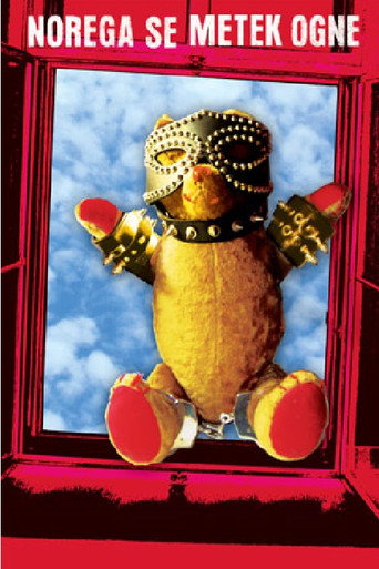 Bullets Miss the Fool poster