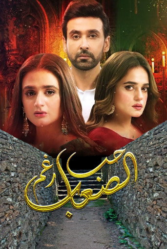 mein hari piya poster