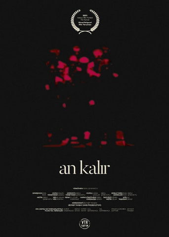 An Kalır poster