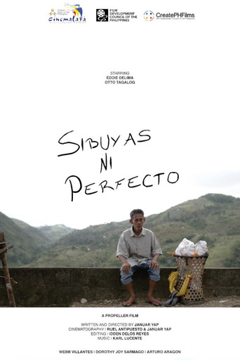 Movie poster for Perfecto's Onion (2023)