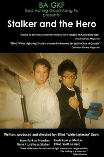 Movie poster for Stalker and the Hero (2011)