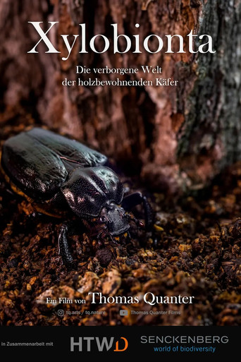 Movie poster for Xylobionta - die verborgene Welt der holzbewohnenden Käfer (2024)