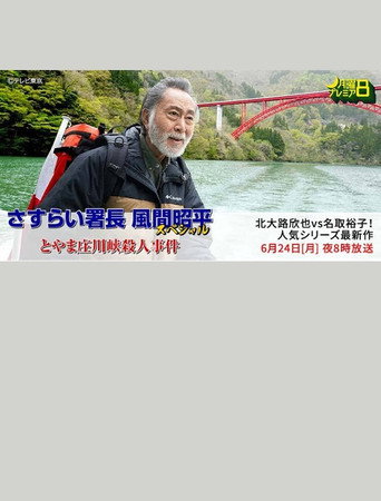 Toyama Shōgawa kai satsujin jiken poster