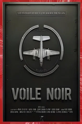 Movie poster for Voile Noir (2013)